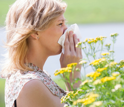 Click for More Information on Allergies
